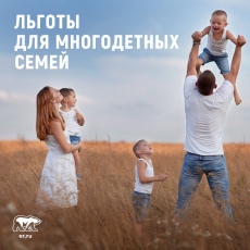 Налоговая нагрузка многодетным семьям снижена