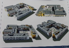 IMG_5941.JPG