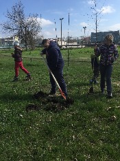 IMG_4142-31-03-18-11-05.JPG