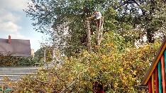 IMG-20171011-WA0065.jpg