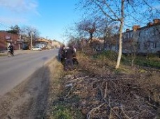 В поселке продолжаются  работы по сбору и дальнейшей  переработки спиленных  веток деревьев  в щепу