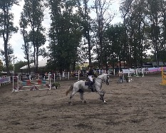 20180923_123124.jpg 20180923_123124.jpg