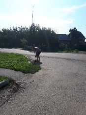 IMG-20180915-WA0043.jpg IMG-20180915-WA0043.jpg