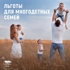 Налоговая нагрузка многодетным семьям снижена