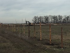 IMG_1621-14-12-17-11-54.JPG