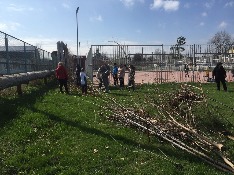 IMG_4145-31-03-18-11-06.JPG
