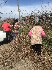 IMG_4485-06-04-18-02-48.JPG