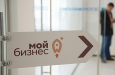 Для кубанских предпринимателей работает горячая линия по мерам господдержки...