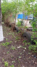 IMG-20190413-WA0031.jpg IMG-20190413-WA0031.jpg
