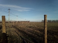 IMG_20171213_100146.jpg