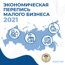 Росстат приглашает малый бизнес принять участие в экономической переписи