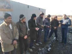 Граждане Узбекистана нелегально работали в Красносельском сельском поселении