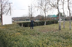 IMG_5638.JPG