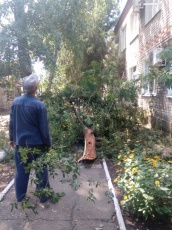 Добрые пожелания и выражения признательности прислали в адрес главы пос.Южный сотрудники детского сада №17