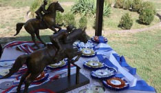 IMG_7132.jpg IMG_7132.jpg