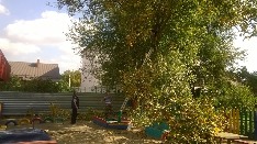 WP_20171011_008.jpg
