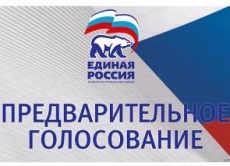 На Кубани заработал сайт предварительного голосования