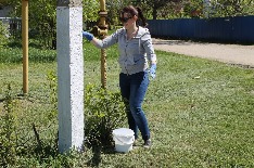 IMG_6447.JPG