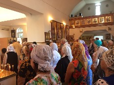 IMG-20160822-WA0005.jpg IMG-20160822-WA0005.jpg