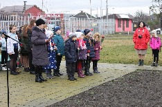 IMG_0803.JPG