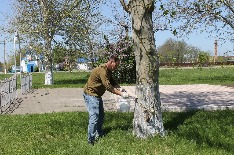 IMG_6432.JPG