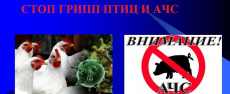 Внимание вирус!