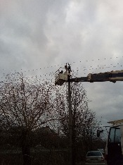 IMG_20171226_134926.jpg