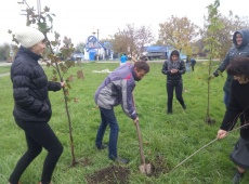 В Южно-Кубанском сельском поселении прошел субботник.