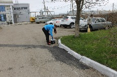 IMG_6282.JPG