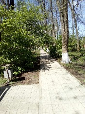 IMG_5129-28-04-18-10-54.JPG