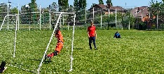 IMG_20260512_141753_387.jpg IMG_20260512_141753_387.jpg