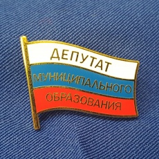 Результаты дополнительных выборов депутатов Совета Южно-Кубанского сельского поселения 