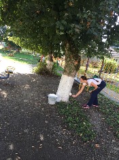 IMG-20180915-WA0027.jpg IMG-20180915-WA0027.jpg