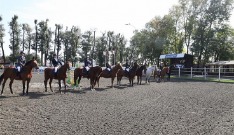 IMG_7209.jpg IMG_7209.jpg
