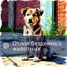 Отлов бездомных животных
