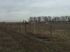 IMG_1620-14-12-17-11-54.JPG