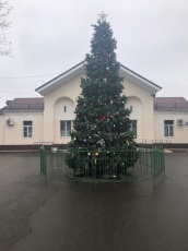 Установили новогоднюю елку