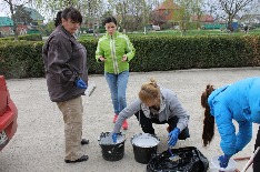 IMG_6261.JPG