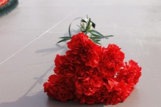 _MG_9444.JPG