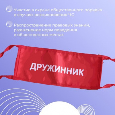 Вступайте в народную дружину!