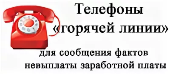 Телефоны «Горячей линии» для сообщения фактов невыплаты заработной платы: 