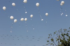 IMG_9690.JPG
