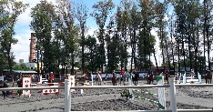 20180909_120556.jpg 20180909_120556.jpg