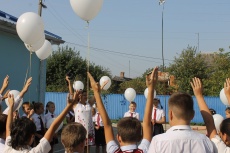 Голубь Мира