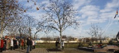 _MG_9594.JPG