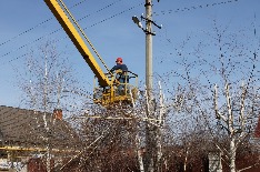 IMG_5670.JPG