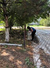 IMG-20180915-WA0005.jpg IMG-20180915-WA0005.jpg