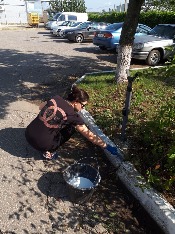 IMG-20180915-WA0058.jpg IMG-20180915-WA0058.jpg