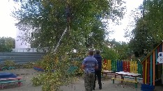 WP_20171011_010.jpg