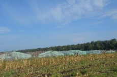 В Динском районе прошел рейд по выявлению нелегальной занятости